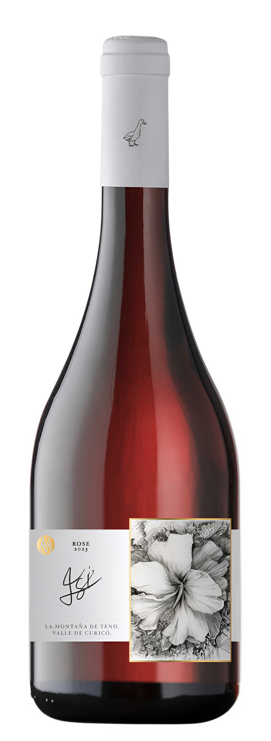 Botella de vino Isi, Syrah